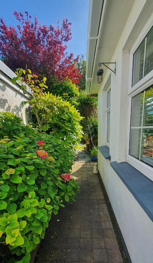 124 ,Castlelawn Heights, Headford Road Galway Homestay מראה חיצוני תמונה