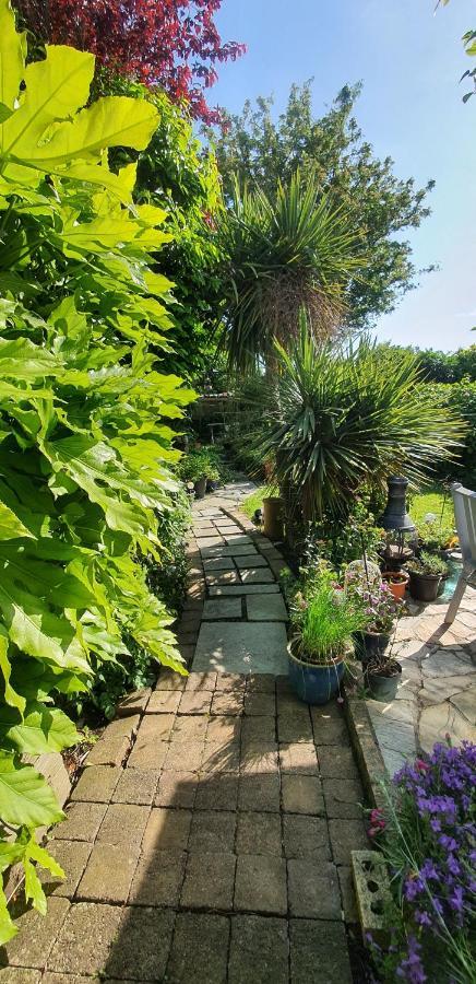 124 ,Castlelawn Heights, Headford Road Galway Homestay מראה חיצוני תמונה